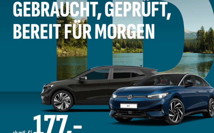  Junge gebrauchte ID.s