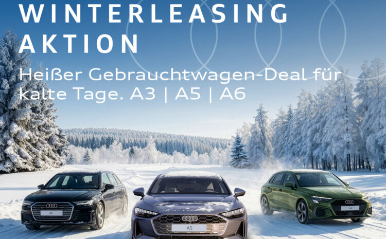  Audi GW+ Winterleasing
