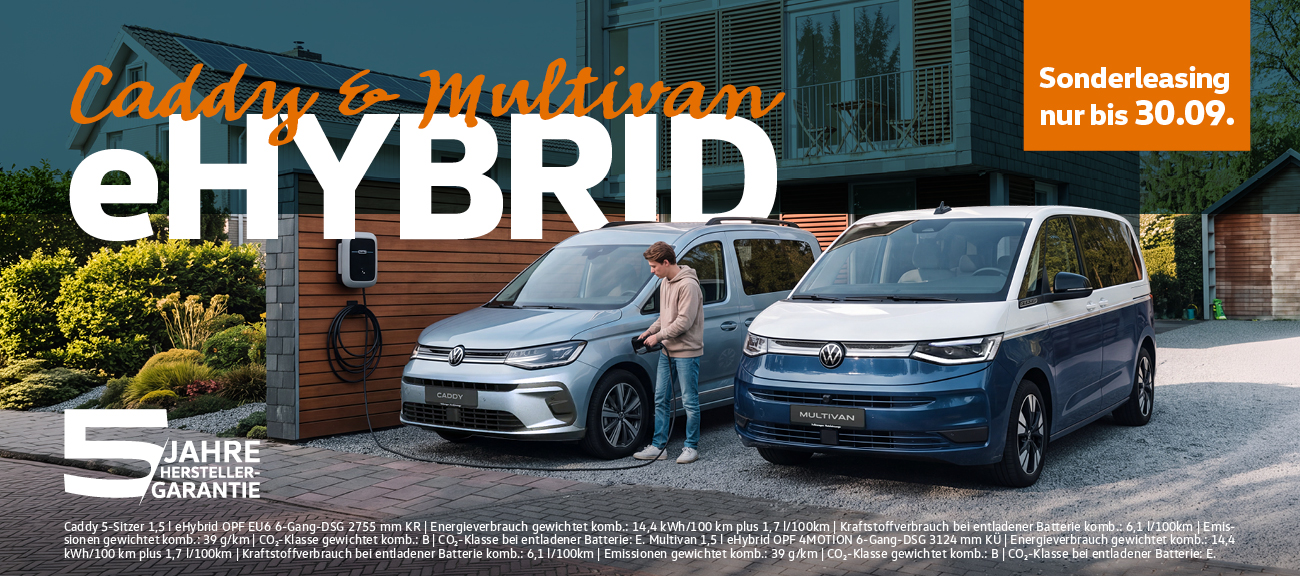 HD Multivan + Caddy eHybrid
